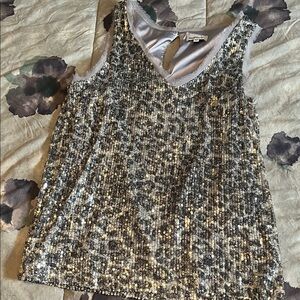 Heartloom Shimmering Sequin Sleeveless Blouse - Silver